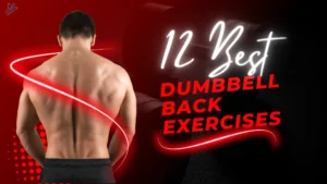 12 Best Dumbbell Back Exercises for Strength and Definition
