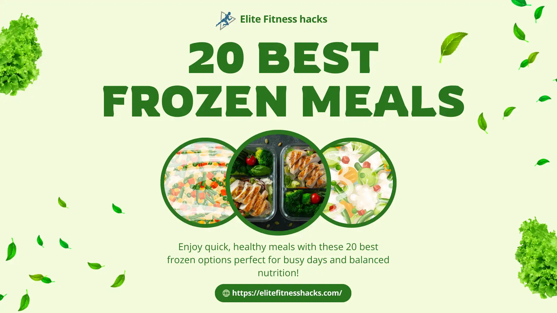 20 Best Frozen Meals for Quick and Healthy Eating